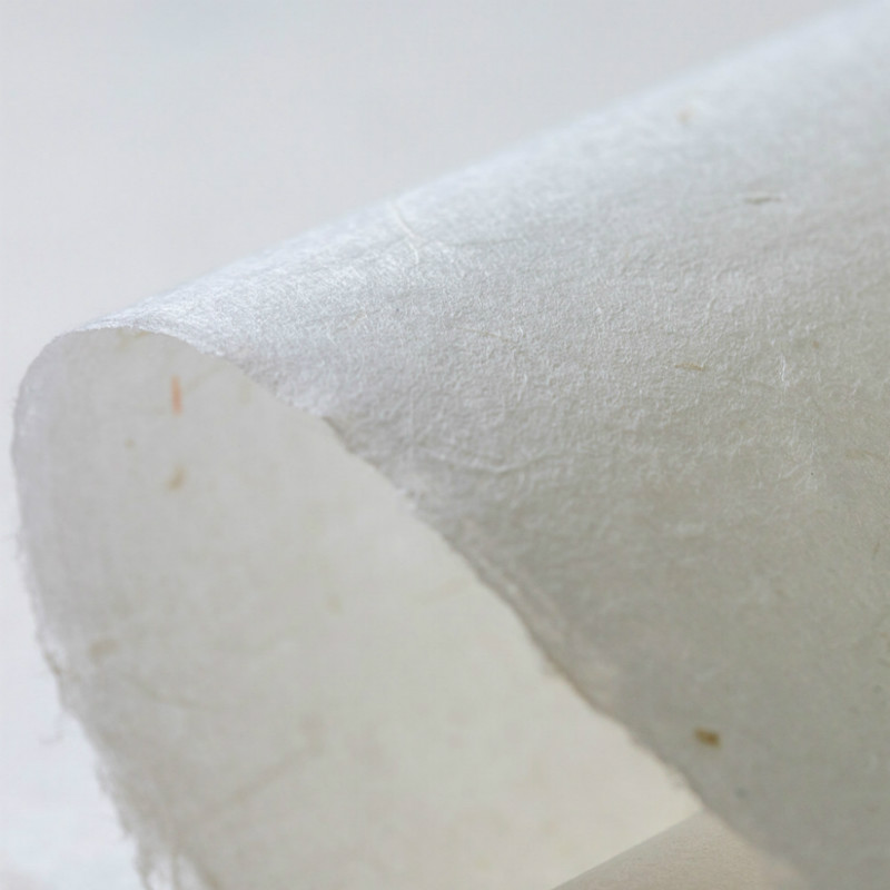 Chinese Yunlong Fiber Xuan Pap - Ink Blotter Paper 评论和价格